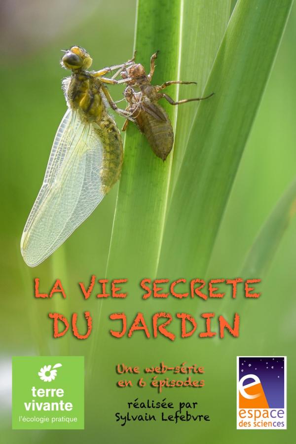 Affiche 2