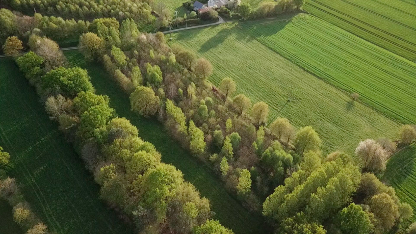 L'oasis: mission biodiversité!