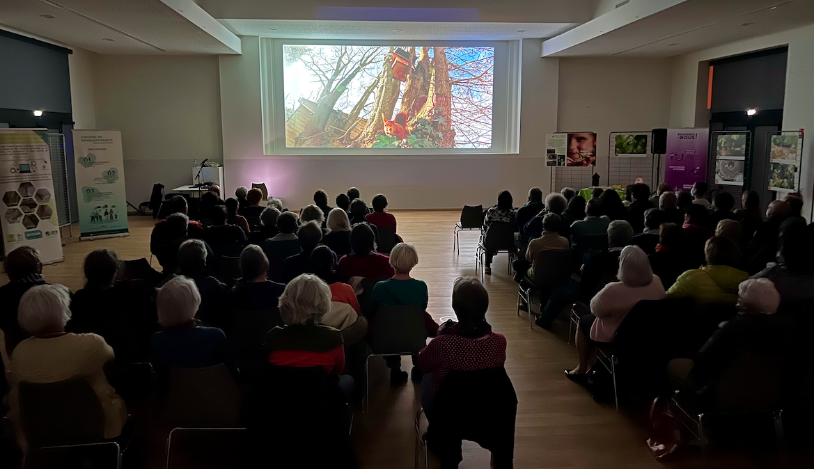 projection jardin sauvage