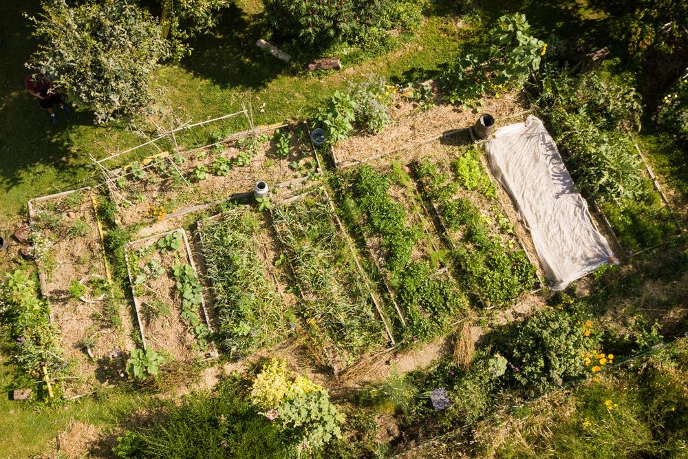 Potager biologique