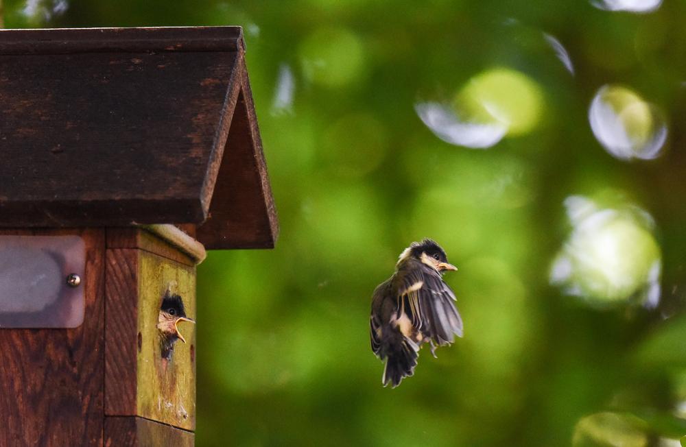 Exposition photo jardin sauvage