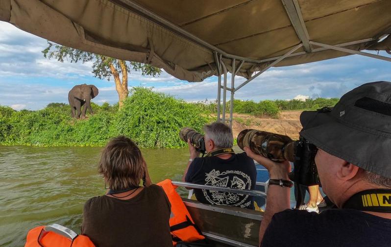 Safari en Ouganda sylvain lefebvre