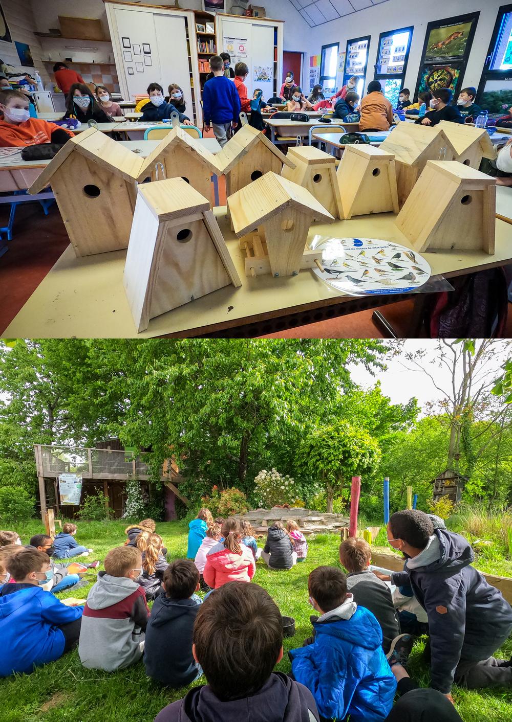 Animations biodiversité rennes