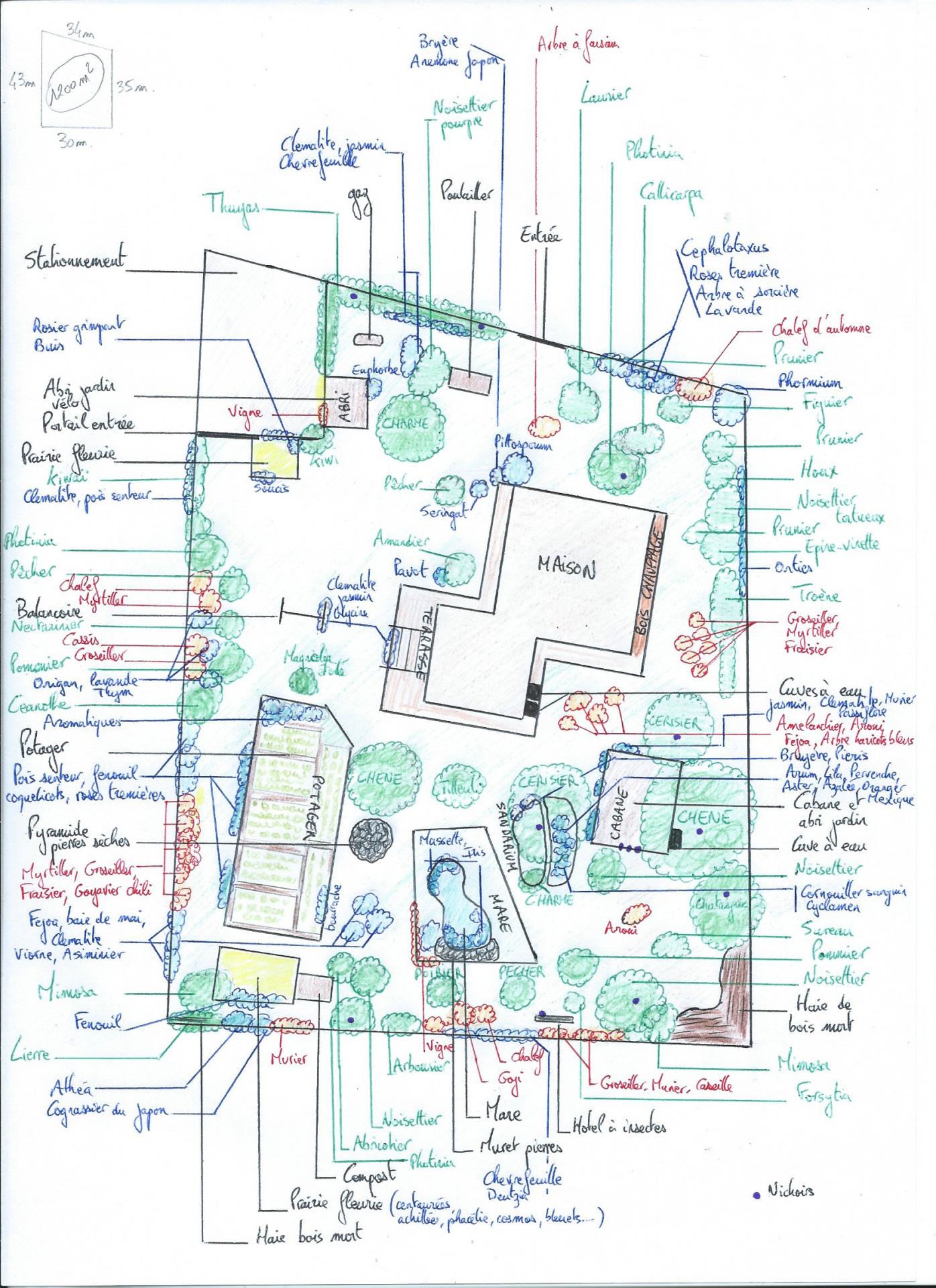 Plan jardin