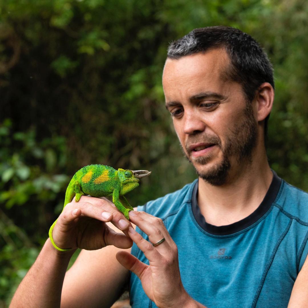 Profil sylvain lefebvre 2