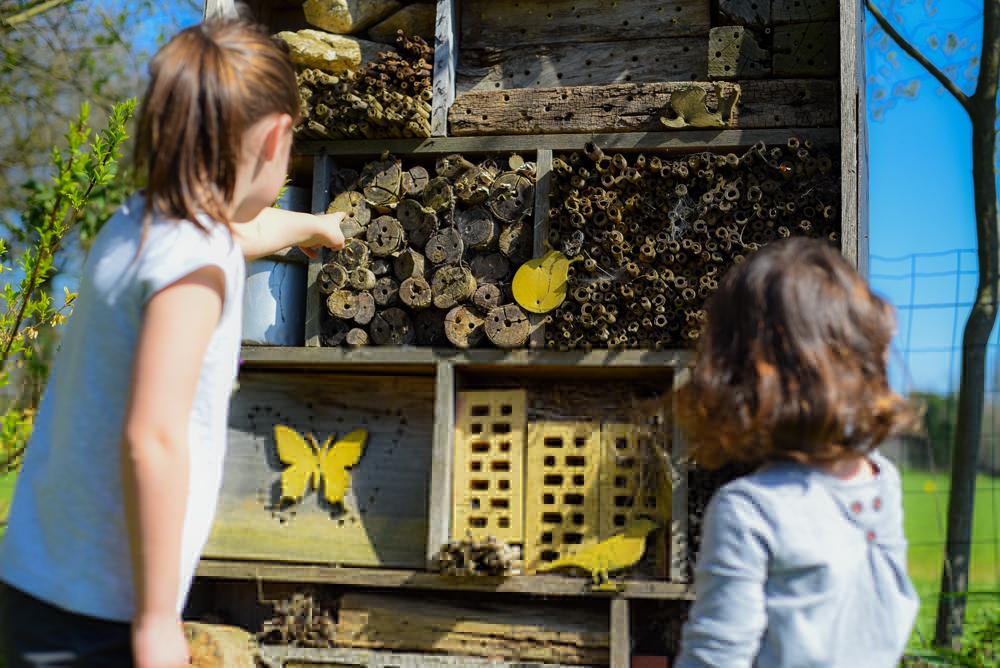 Gites à abeilles solitaires