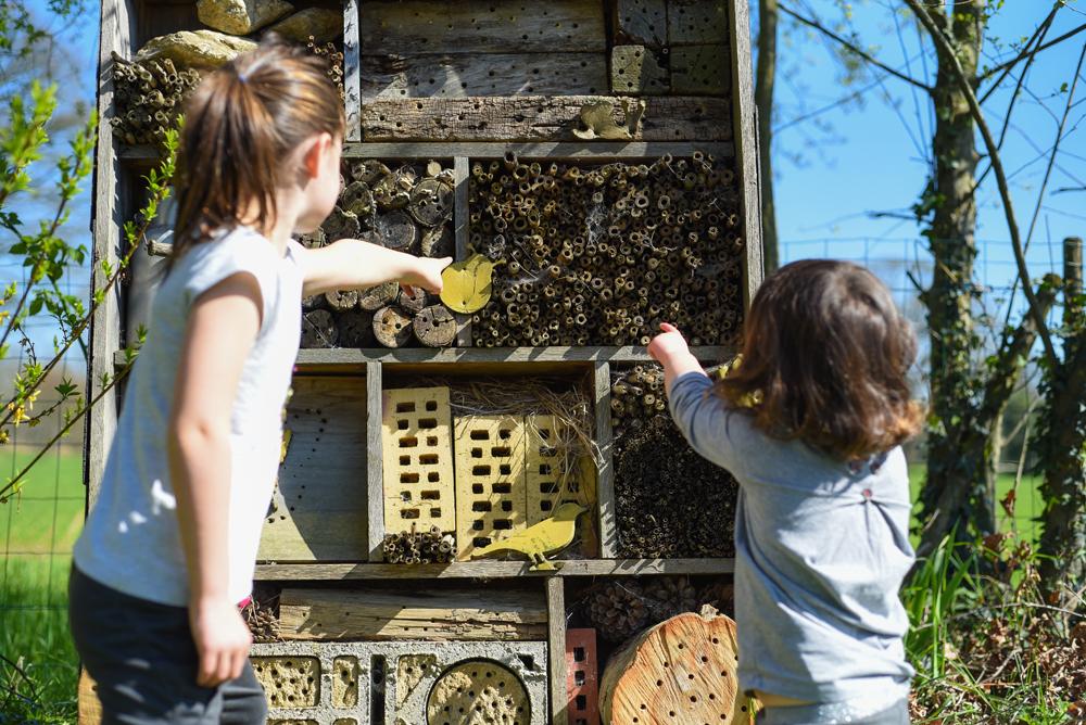 - Hotel à insectes, abeilles solitaires et osmies