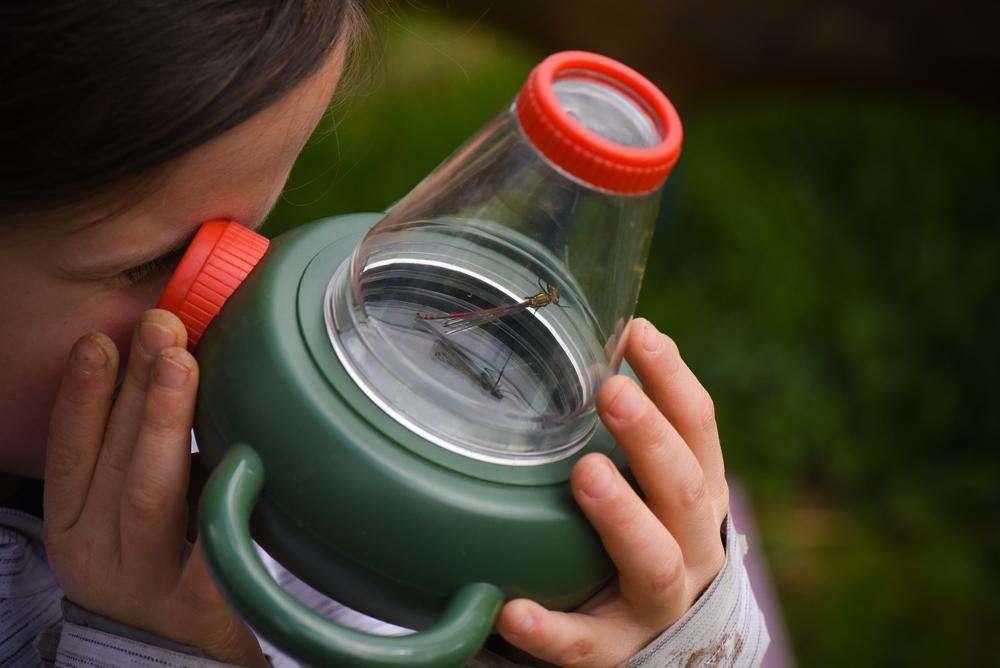 Sortie scolaire insectes Acigne Rennes