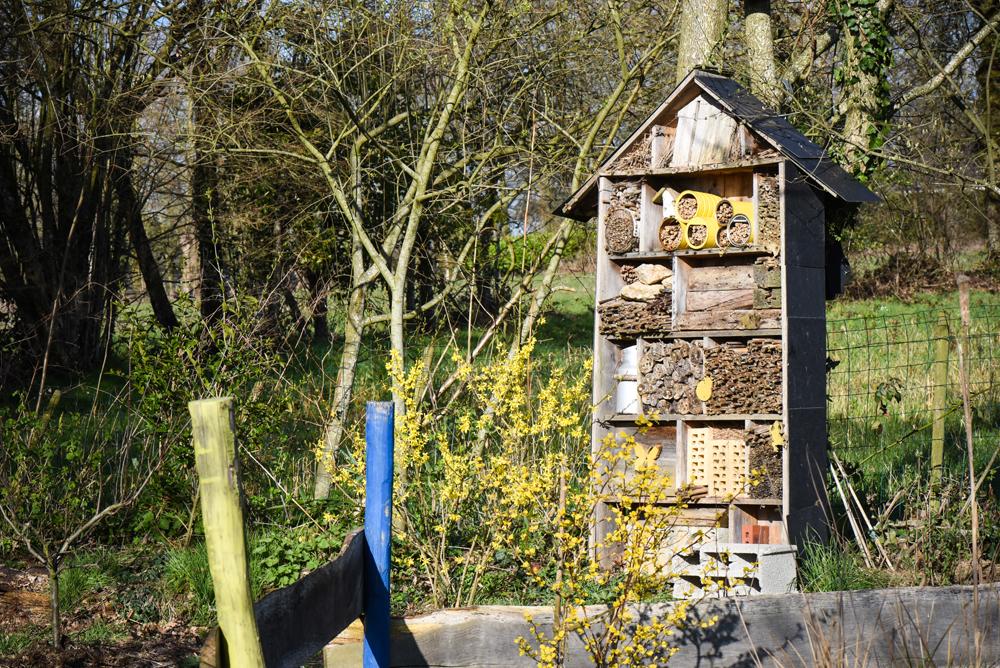 - Hotel à insectes, abeilles solitaires et osmies
