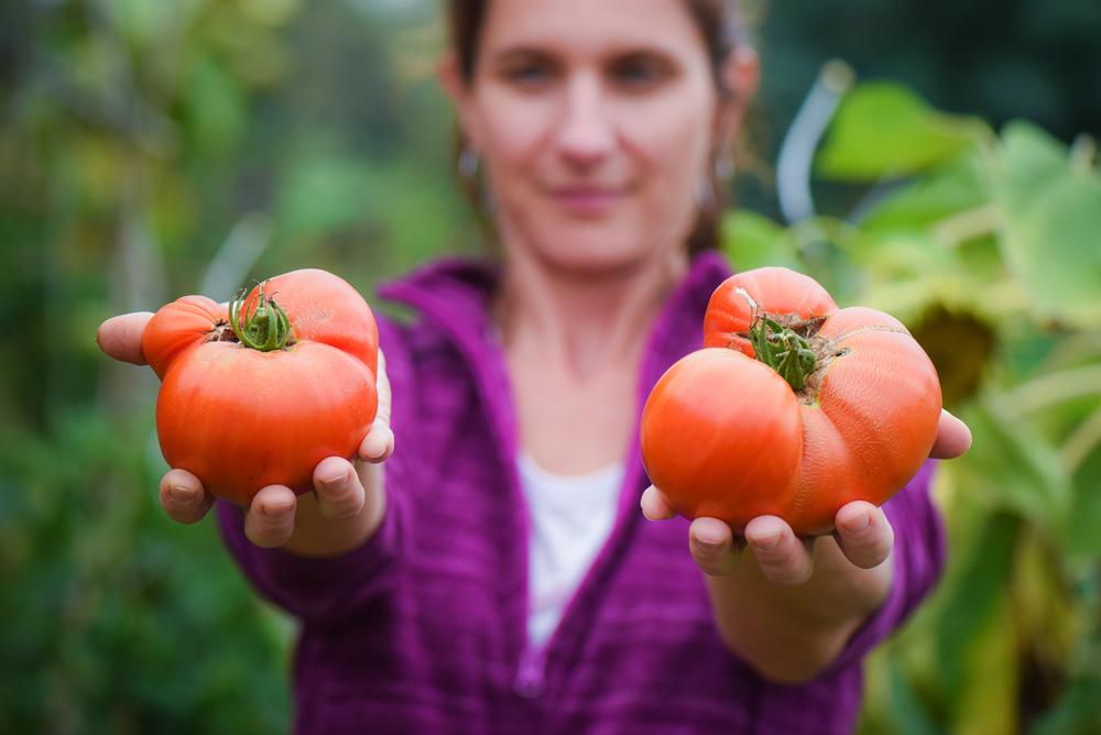 jardin vivant et potager